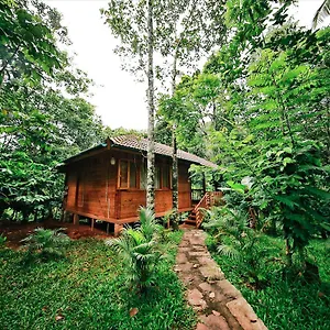 Bamboo Creek Vaduvanchal